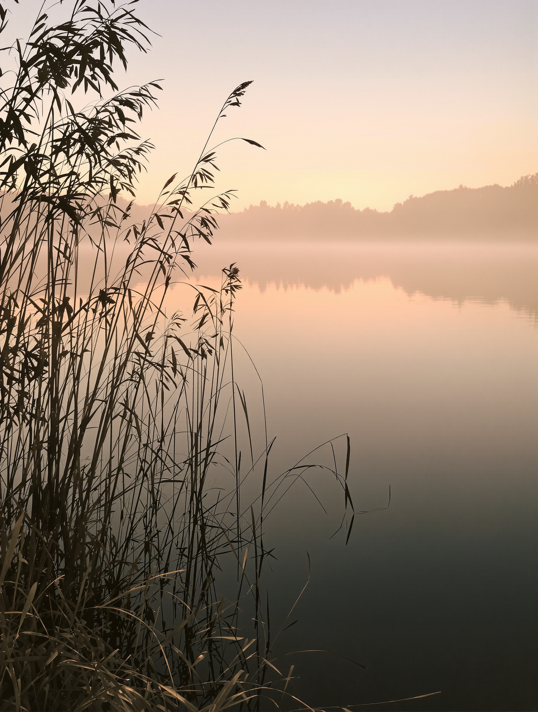Le lac du Dagour au lever du soleil, avec une légère brume flottant sur l'eau calme. Quelques roseaux se dessinent sur le bord, reflétant la tranquillité de ce lieu de pêche prisé des habitants de Saussens.
